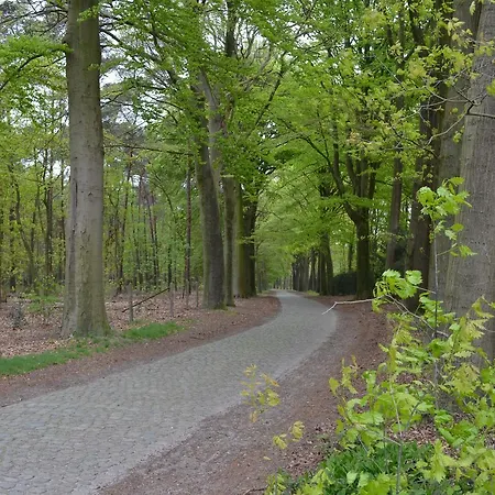 Bed & Breakfast 't Heirweggoed